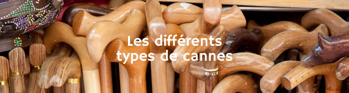 BRIDOUX SANTE - Vente de matériel médical