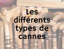 BRIDOUX SANTE - Vente de matériel médical