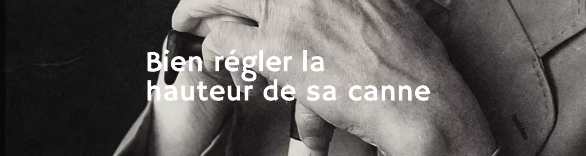 BRIDOUX SANTE - Vente de matériel médical